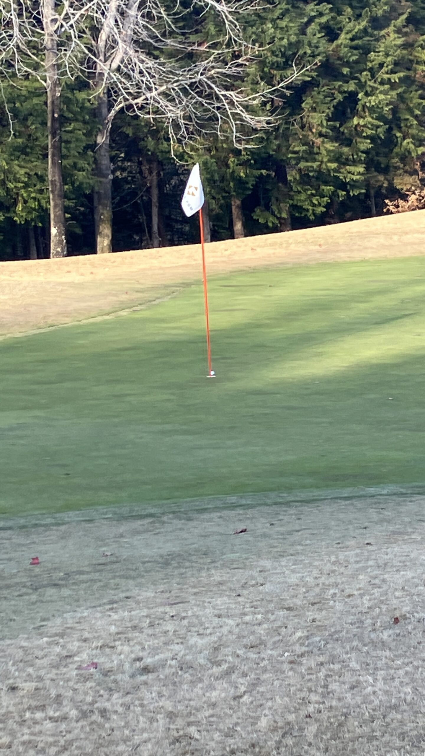 あわやホールインワン！！